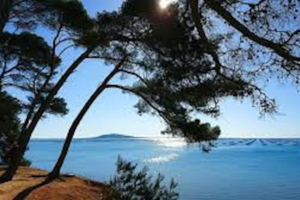 Appartement cosy à 50 m de la plage et du port Mèze Extérieur photo